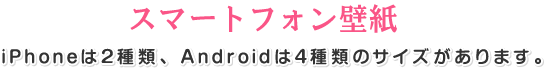 スマートフォン壁紙 iPhoneは2種類、Androidは4種類のサイズがあります。
