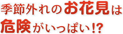 季節外れのお花見は危険がいっぱい!?